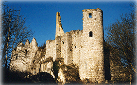 Les Ruines de Montaigle ( Falaën )