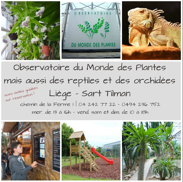 Observatoire du monde des plantes - Université de Liège