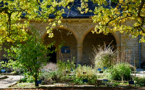 Jardin et Musée Pharmaceutique, Musée de l'Abbaye ( Villers-devant-Orval )